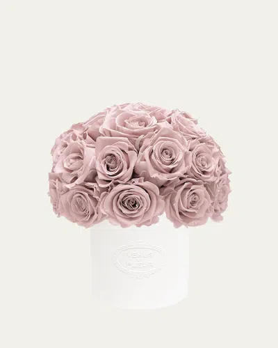 Venus Et Fleur Dusty Rose Eternity Roses In Fleura Porcelain Vase, 14" Tall