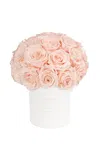 Venus Et Fleur Fleura Porcelain Vase With Roses In Pink