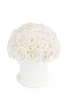 Venus Et Fleur Fleura Porcelain Vase With Roses