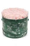 Venus Et Fleur Large Round Holiday Zodiac Pink Eternity Roses® In Multi