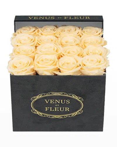 Venus Et Fleur Suede Small Square Rose Box In Neutral