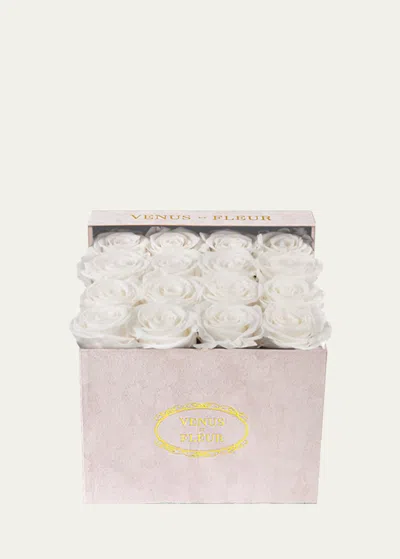 Venus Et Fleur Suede Small Square Rose Box In White
