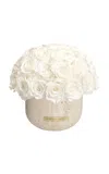 Venus Et Fleur Terre Travertine Vase With Roses In White