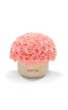 Venus Et Fleur Terre Travertine Vase With Roses