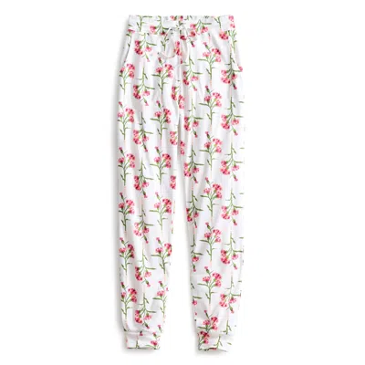 Vera Bradley Outlet Cotton Pajama Pants In Multi