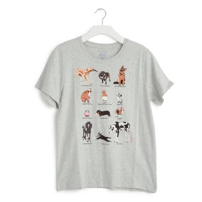 Vera Bradley Outlet Cotton Short-sleeved Graphic T-shirt In Multi