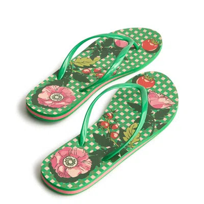 Vera Bradley Outlet Flip Flops In Green