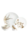Vera Wang Jardin 4-piece Bone China Dinnerware Set In Multi