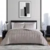 Vera Wang Velvet Linear Stitch 3 Piece Quilt Set, Queen In French Clay