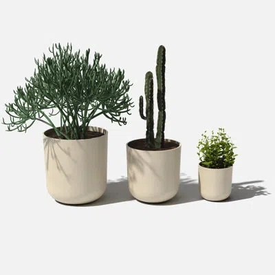 Veradek Mason Series 3 Piece Plastic Pot Planter Set In Sand