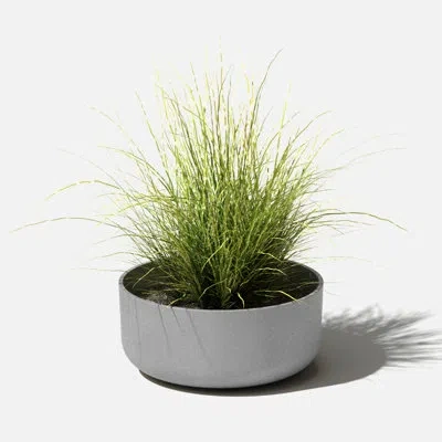 Veradek Mason Series Kona Bowl Planter In Gray