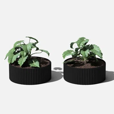 Veradek Mod Series Bowl 5" Bowl - 2 Pack In Black