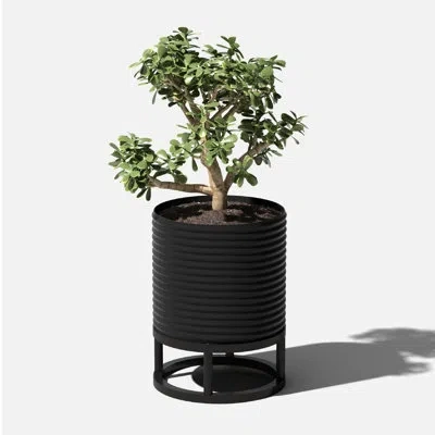 Veradek Mod Series Raised Short Planter With Stand In Black,black