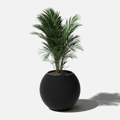 Veradek Strata Series Sphere 18" Planter - 2 Pack In Black