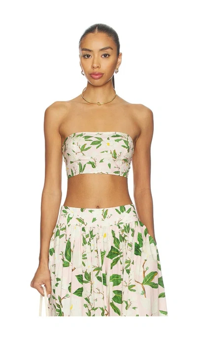 Verandah Bandeau In Blush Magnolia