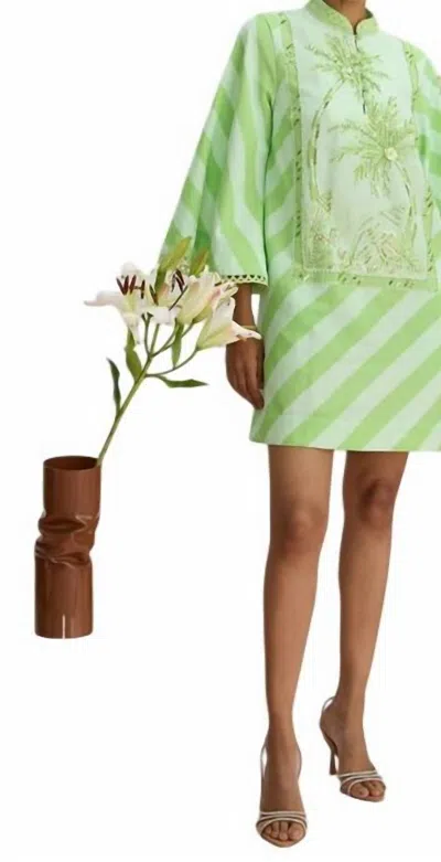 Verandah Hand Beaded Kaftan Mini Dress In Pistachio And Celadon Palm And Shell Stripe In Green