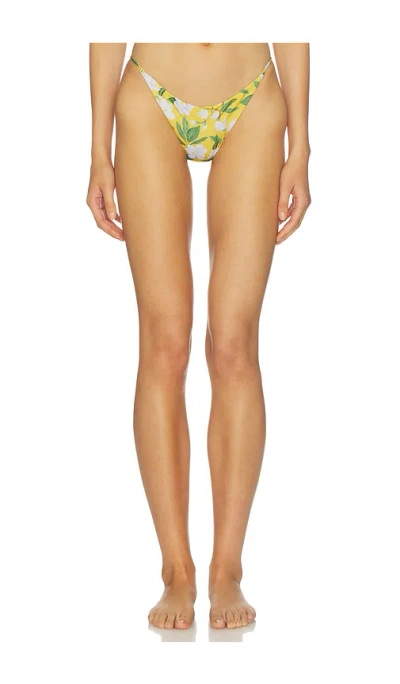 Verandah Low-rise Bikini Bottoms In Yellow