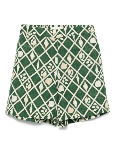 Verandah Summer Shorts