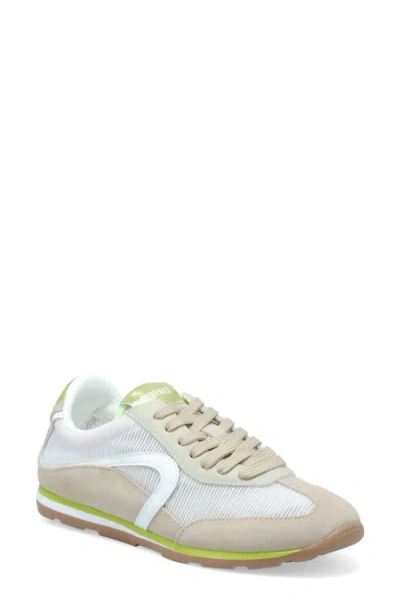 Verbenas Jamaica Sneaker In Gray