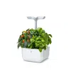 Veritable Exky Smart Indoor Garden In Multi