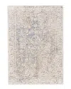 Shop Verlaine Michener Distressed Ornamental Wool Rug