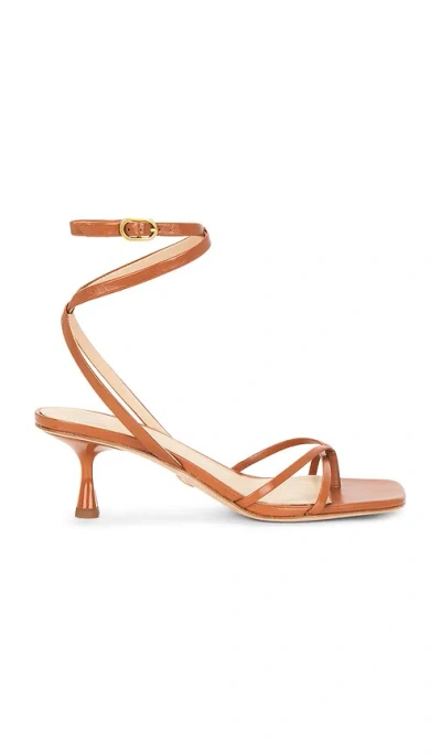 Veronica Beard Caterina Strappy Sandal In Brown