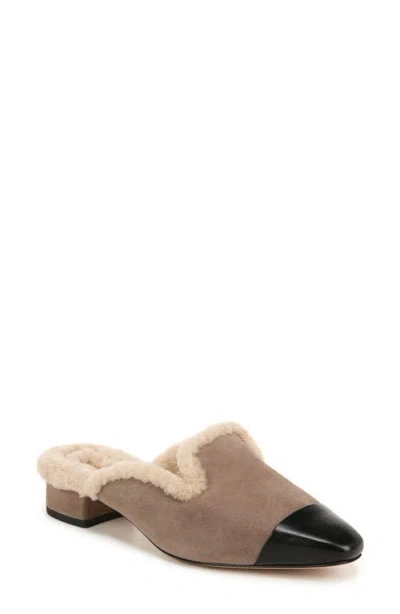 Veronica Beard Cecile Genuine Shearling Mule In Taupe/black