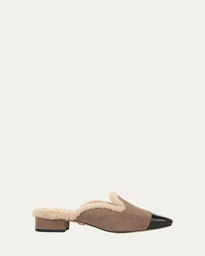 Veronica Beard Cecile Suede Shearling Cap-toe Mules In Taupe Grey Suede