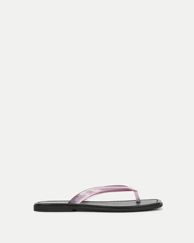 Veronica Beard Clea Jelly Flip-flop Sandal In Multi