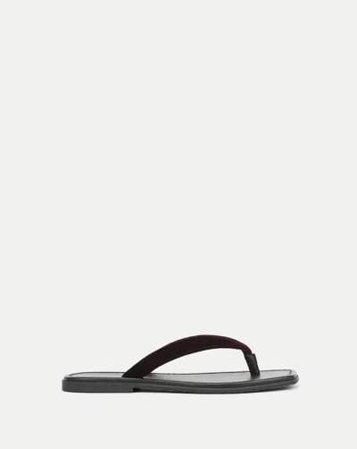 Veronica Beard Clea Velvet Flip-flop Sandal In Burgundy