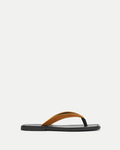 Veronica Beard Women's Clea 2 Thong Sandals In Yellow