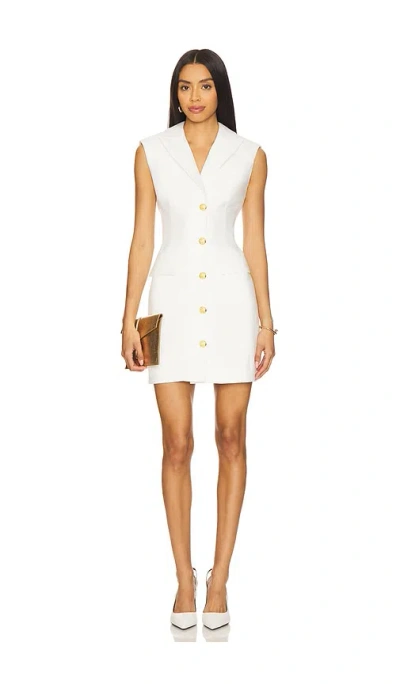 Veronica Beard Fairfax Dress