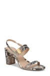 Veronica Beard Genetta Slingback Sandal In Multi