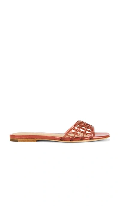 Veronica Beard Maris Jelly Sandal In Brown