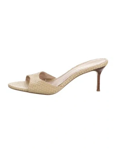 Pre-owned Veronica Beard Raffia Slides In Neutral