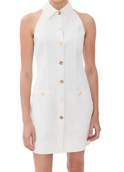 Veronica Beard Roxanne Dress In Dove