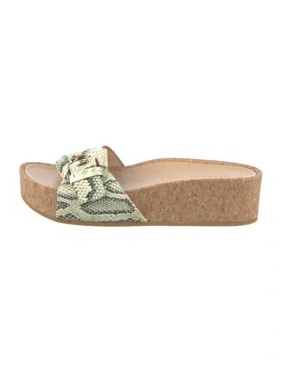 Pre-owned Veronica Beard Snakeskin Animal Print Slides In Green/neutrals