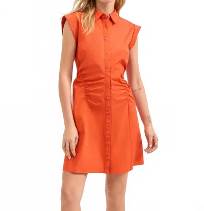 VERONICA BEARD TALULAH DRESS IN PERSIMMON