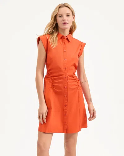 Veronica Beard Talulah Dress In Persimmon In Orange