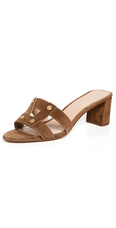 Veronica Beard Via Heels 55mm Chestnut In Brown