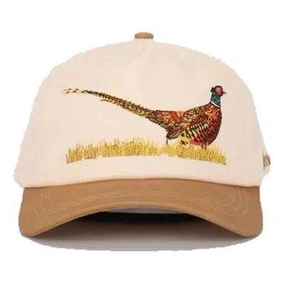 Versa Men's  The Ringneck Adjustable Hat In Brown