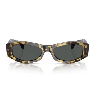 Versace 0ve4487u Signature Sunglasses In Brown