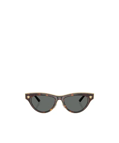 Versace 2273 Sunglasses In Brown