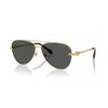 Versace Sunglasses 2283 Sole