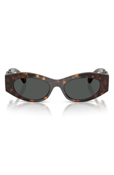 Versace 51mm Oval Sunglasses In Brown