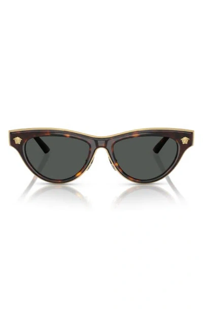 Versace 52mm Cat Eye Sunglasses In Havana