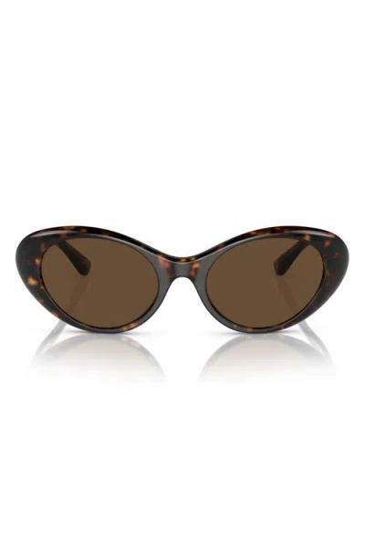 Versace 53mm Oval Sunglasses In Havana