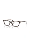 Versace 54mm Cat Eye Optical Glasses In Brown