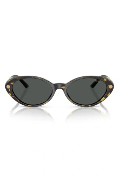 Versace 54mm Oval Sunglasses In Havana
