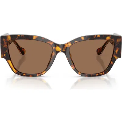Versace 55mm Cat Eye Sunglasses In Brown